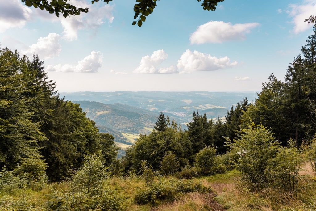 reiseziele herbst schwarzwald deutschland