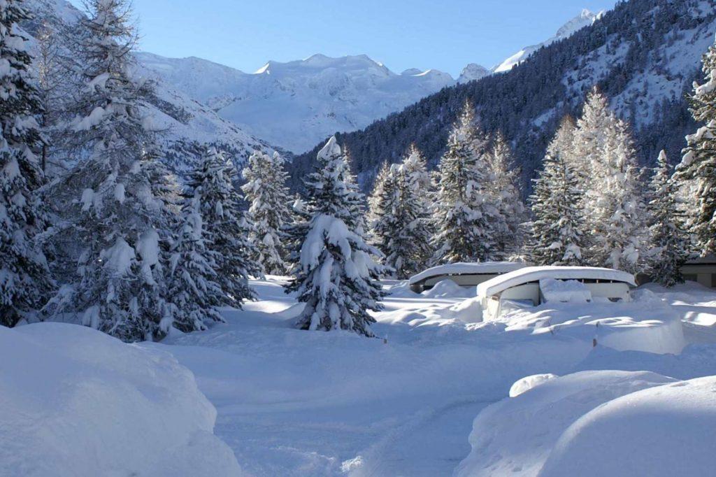 wintercamping-campingplatz-morteratsch