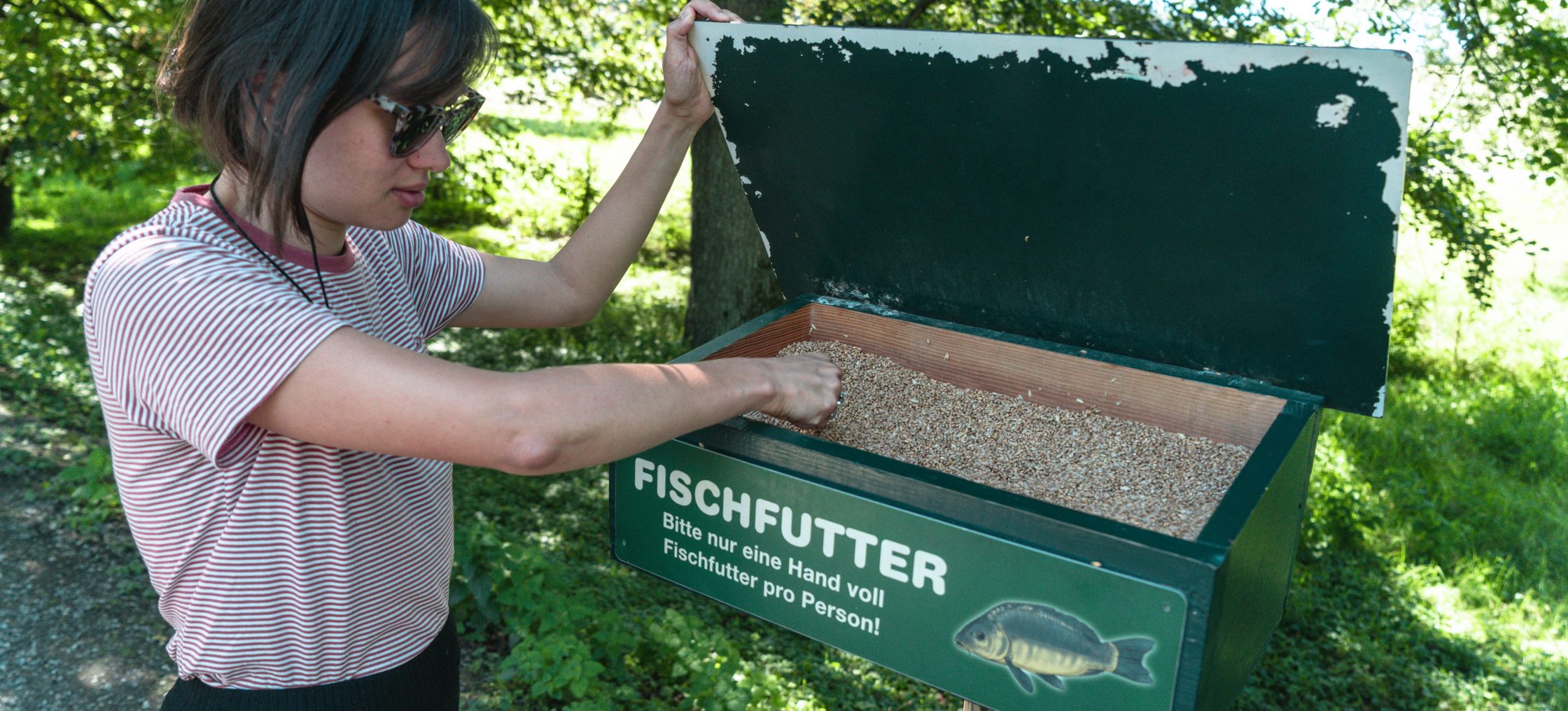 bodensee affenberg fischfutter scaled