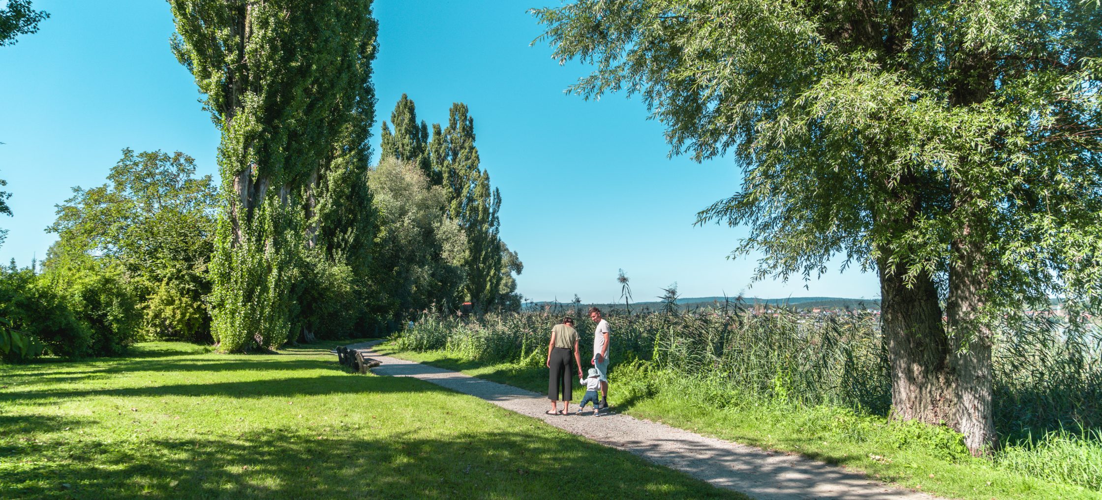 bodensee rundweg reichenau scaled