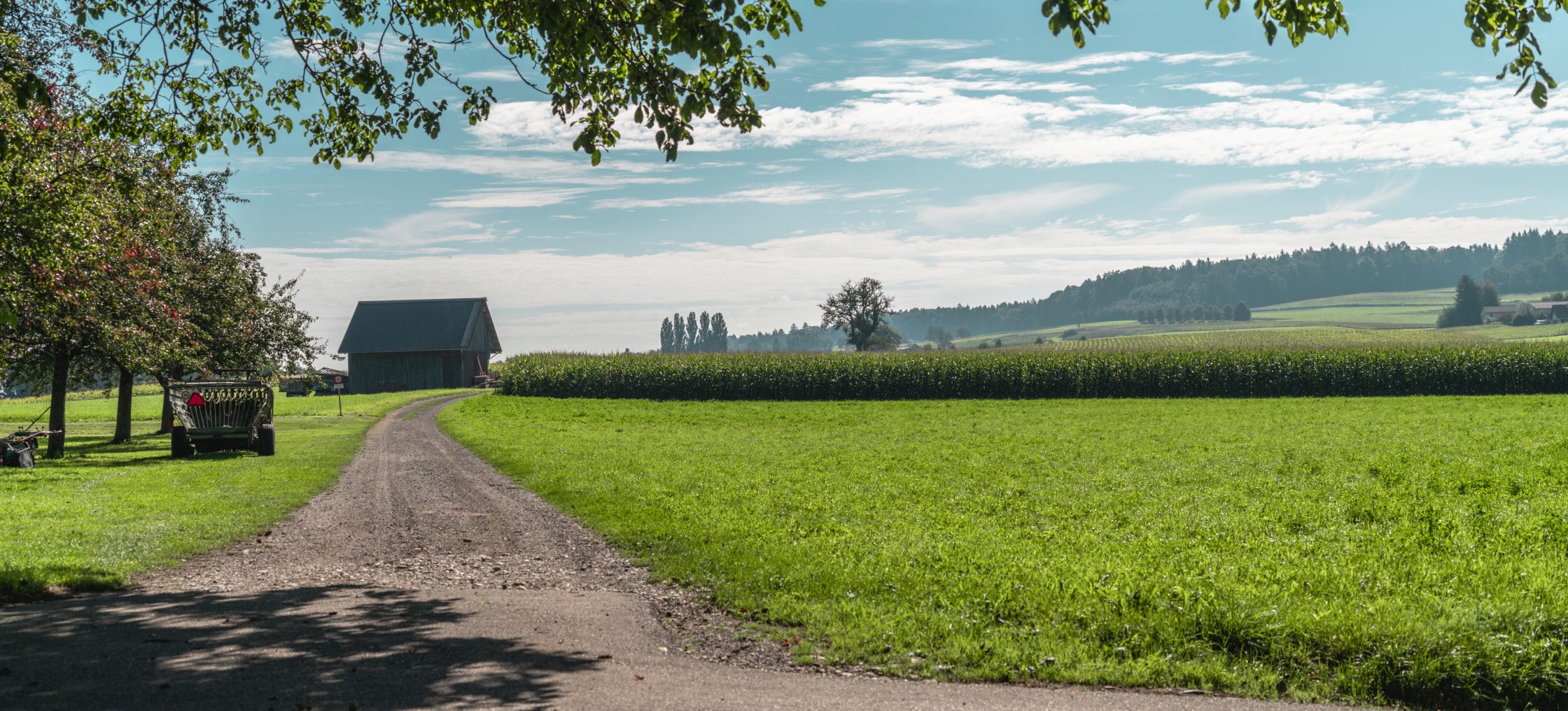 bodensee zelglihof feld scaled