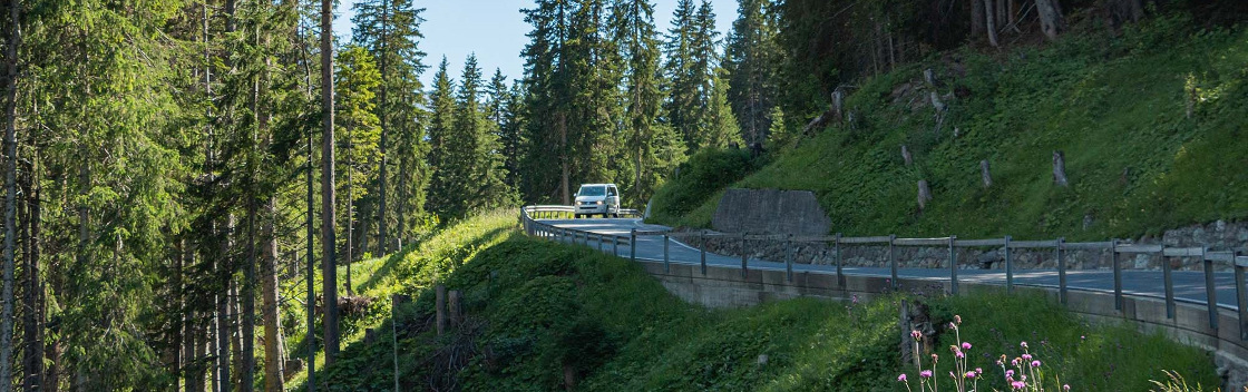 van auf Bergstrasse nach arosa schweiz