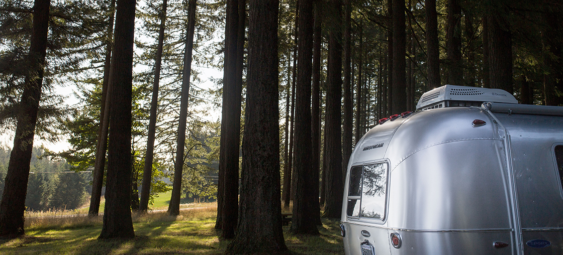 vanabundos 10 gruende wegzufahren camping wald