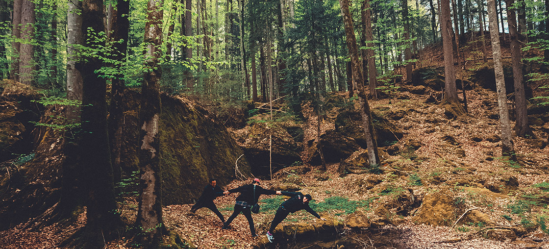 freunde wald campen