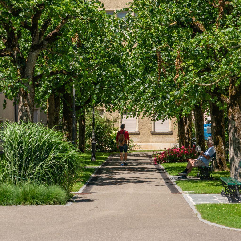 allee-botanischer-garten-jurassica