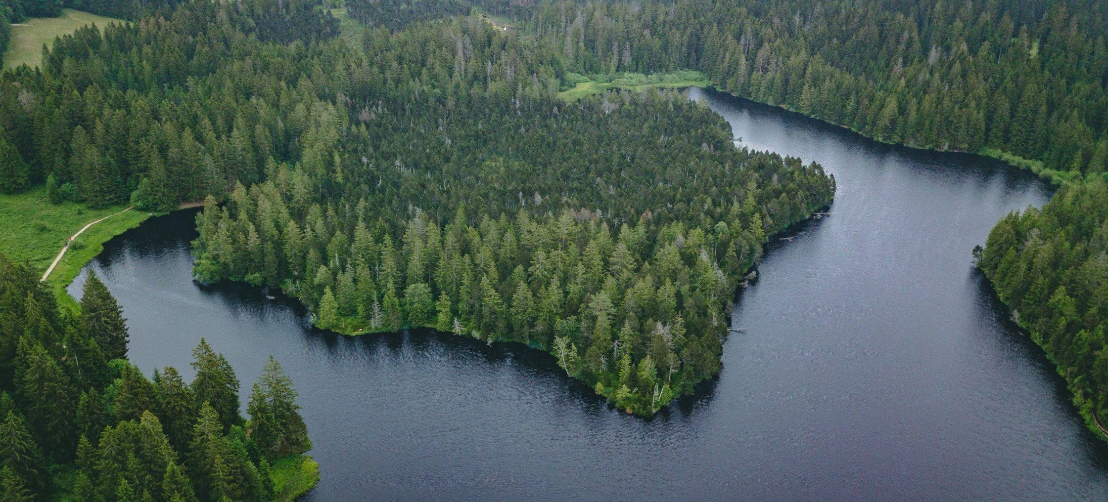 etang de la gruere scaled