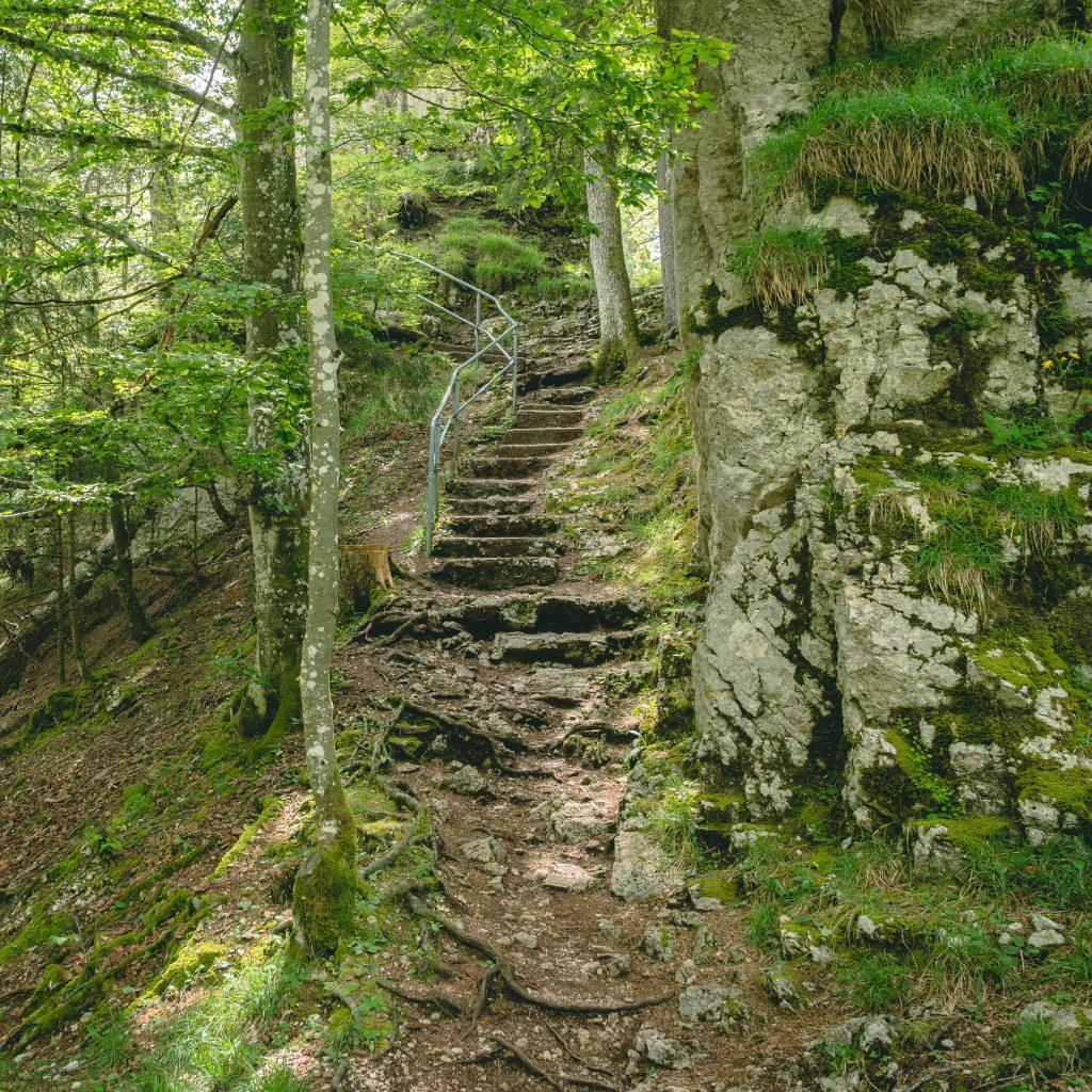 wanderweg-park-doubs-wandern-jura Treppe mit Metallgeländer am Fels entlang im Wald - Wandern Jura