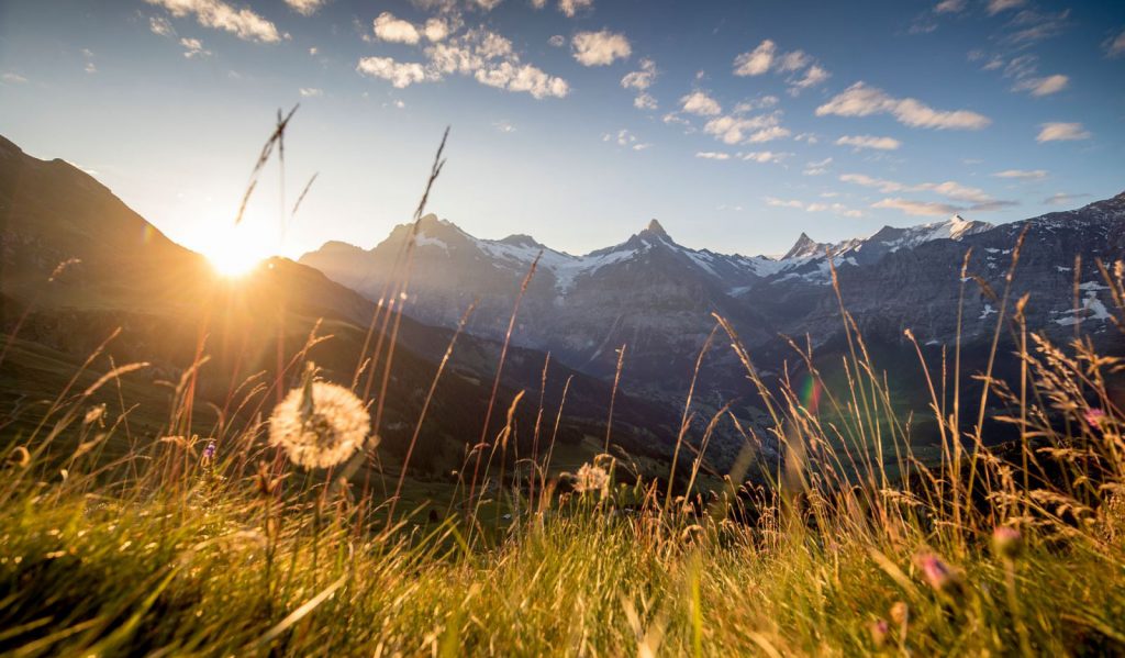 wanderung-eiger-trail