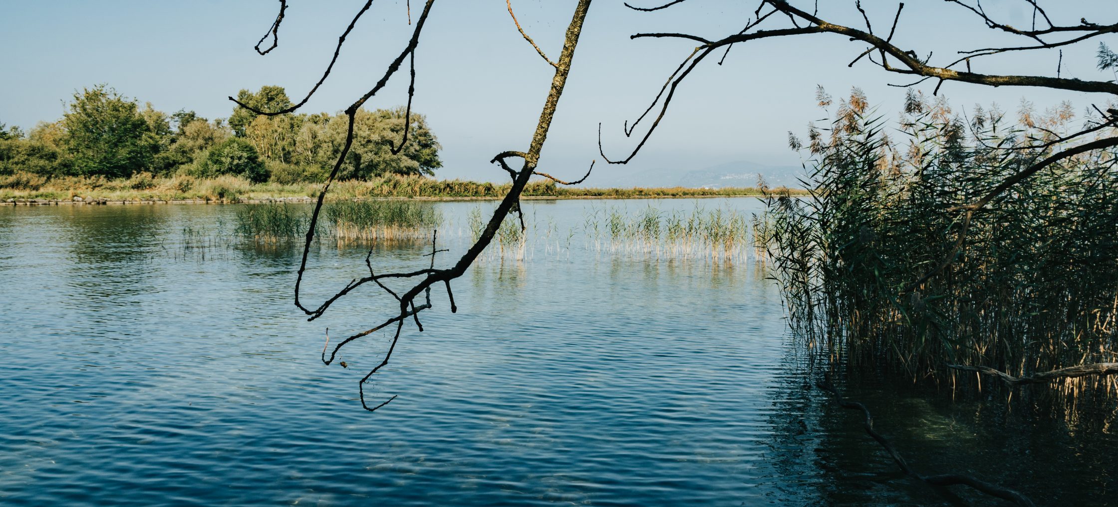spatzieren naturschutzgebiet les grangettes scaled
