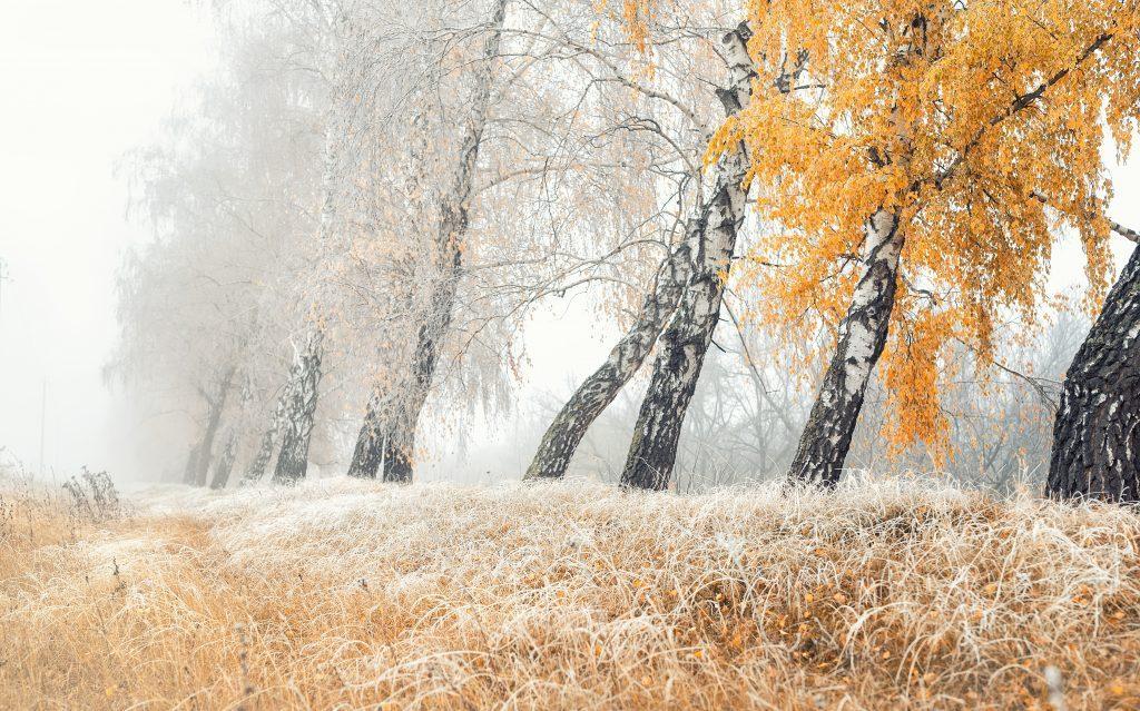 frost-ueber-landschaft