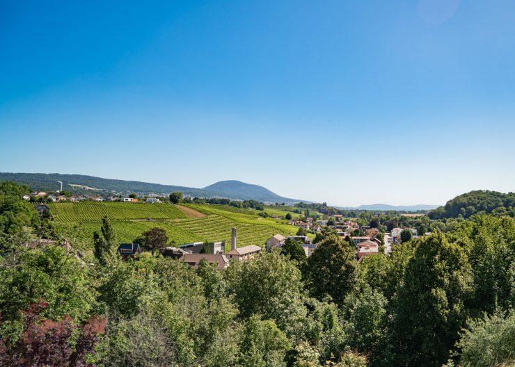 guide neuenburgersee aussicht boudry
