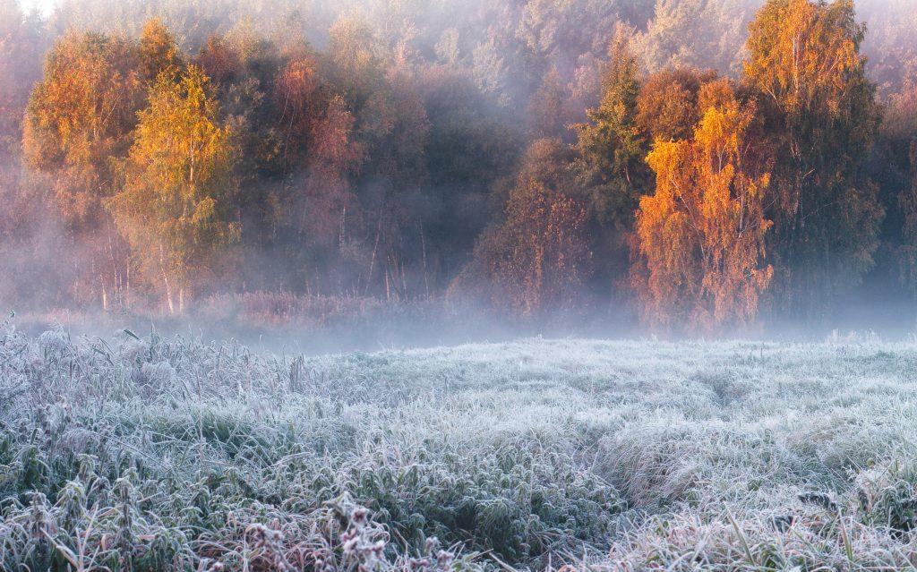 morgentau-landschaft