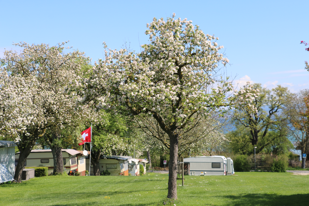 camping ruderbaum ostercamping