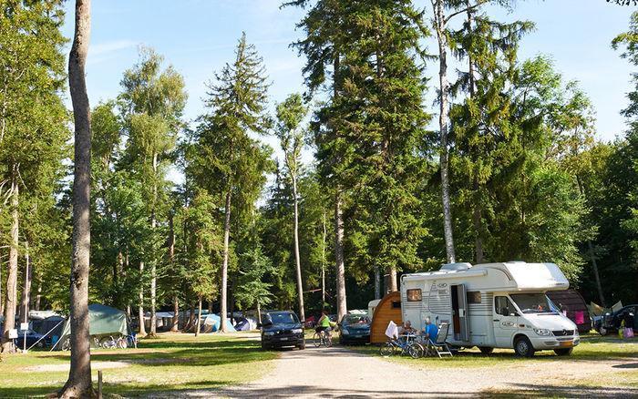 camping am see gampelen