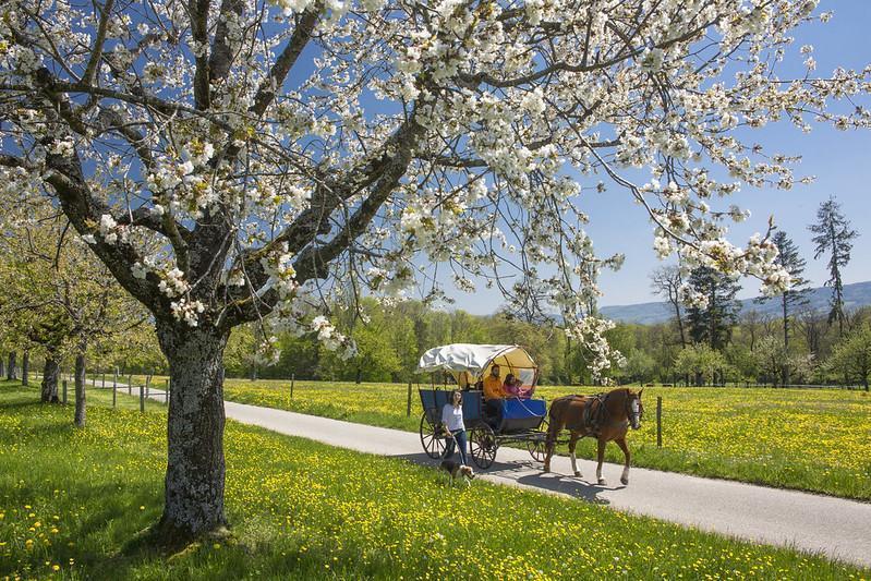 stellplatz jura planwagen