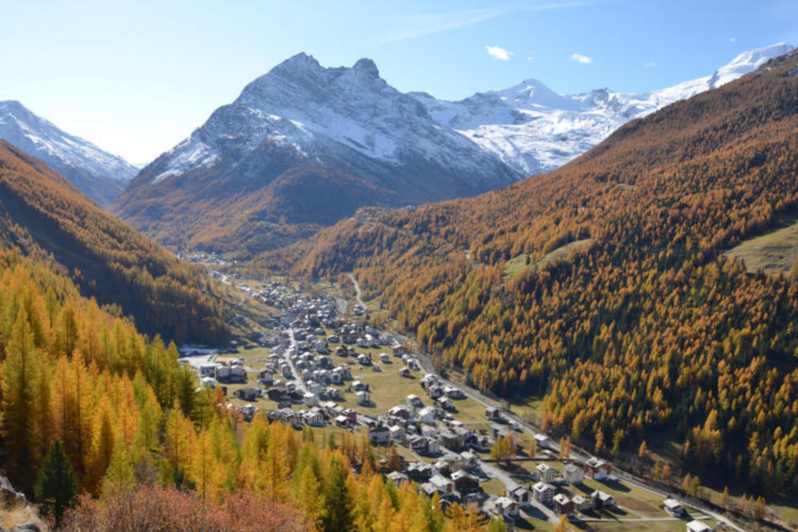 Hohe Berge, dichte Wälder, gute Luft: Willkommen auf dem Camping am Kapellenweg.