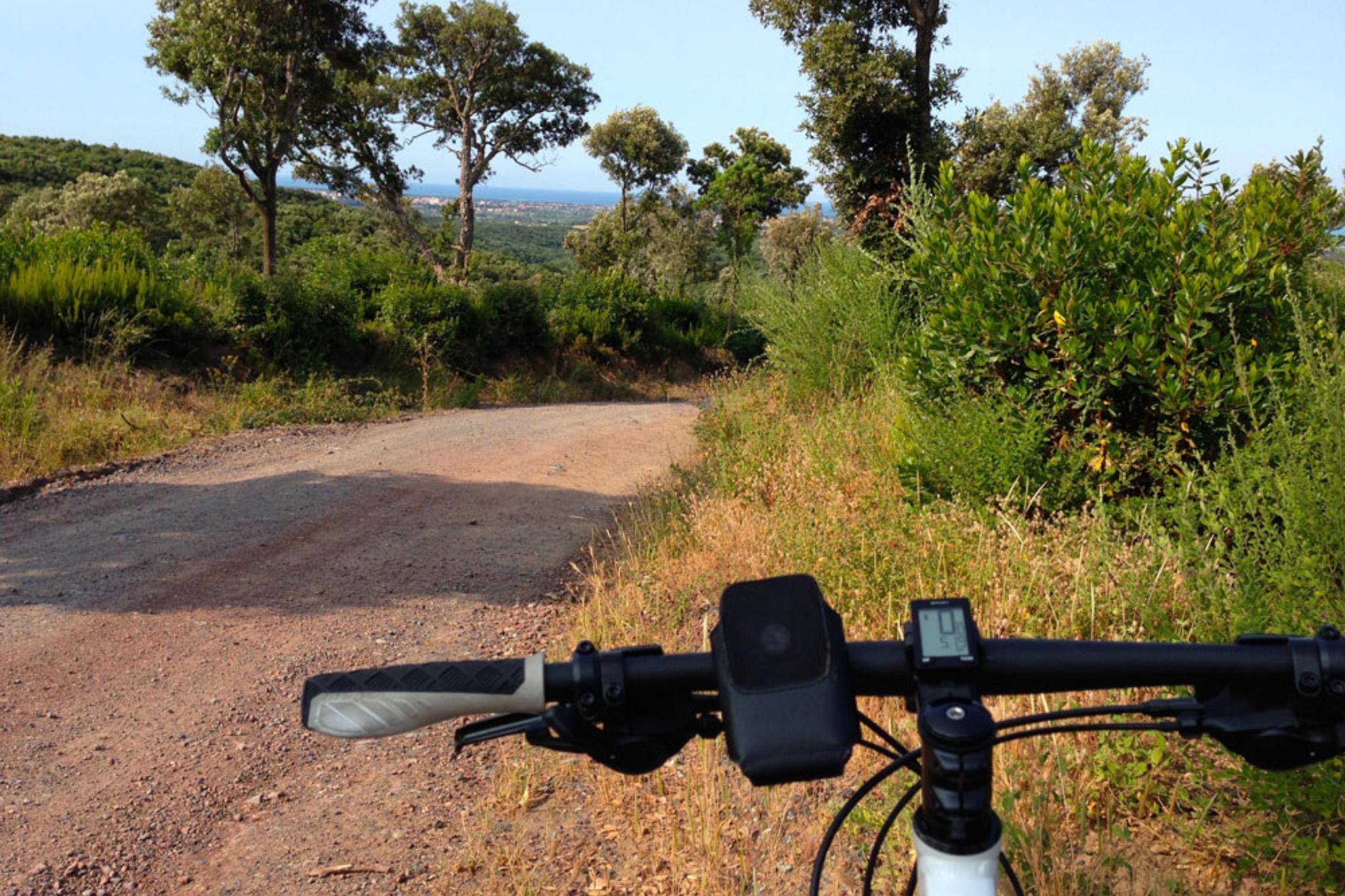 Camping_Toskana_Valle_de_Gaia_5 Mit dem Fahrrad lässt sich die Toskana wunderbar erkunden – hier im Naturschutzpark Tombolo di Cecina.