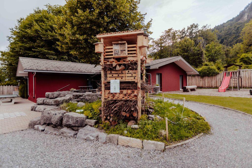 camping alpenblick lebensbaum