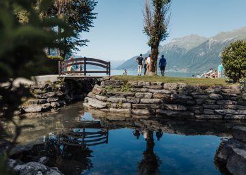 familiencamping aaregg badeinsel