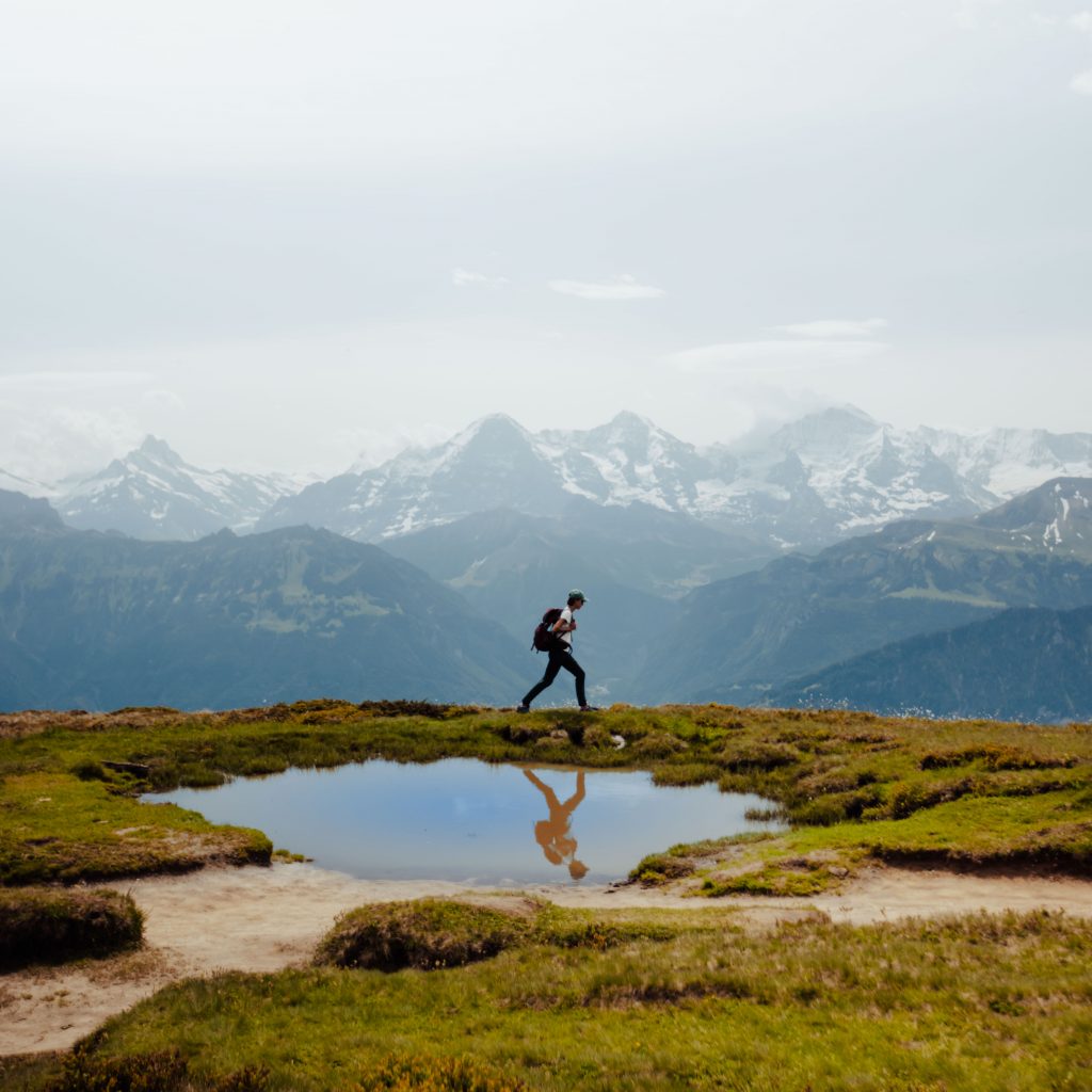 niederhorn alpenpanorama