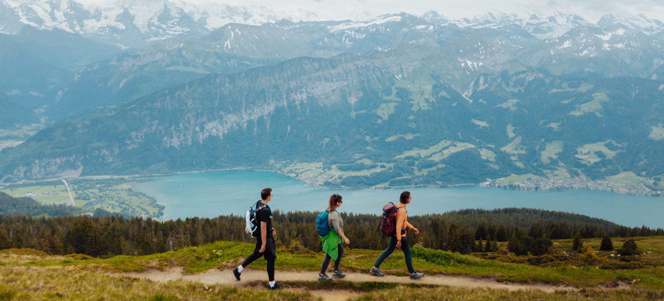 niederhorn wandern thunersee berner alpen