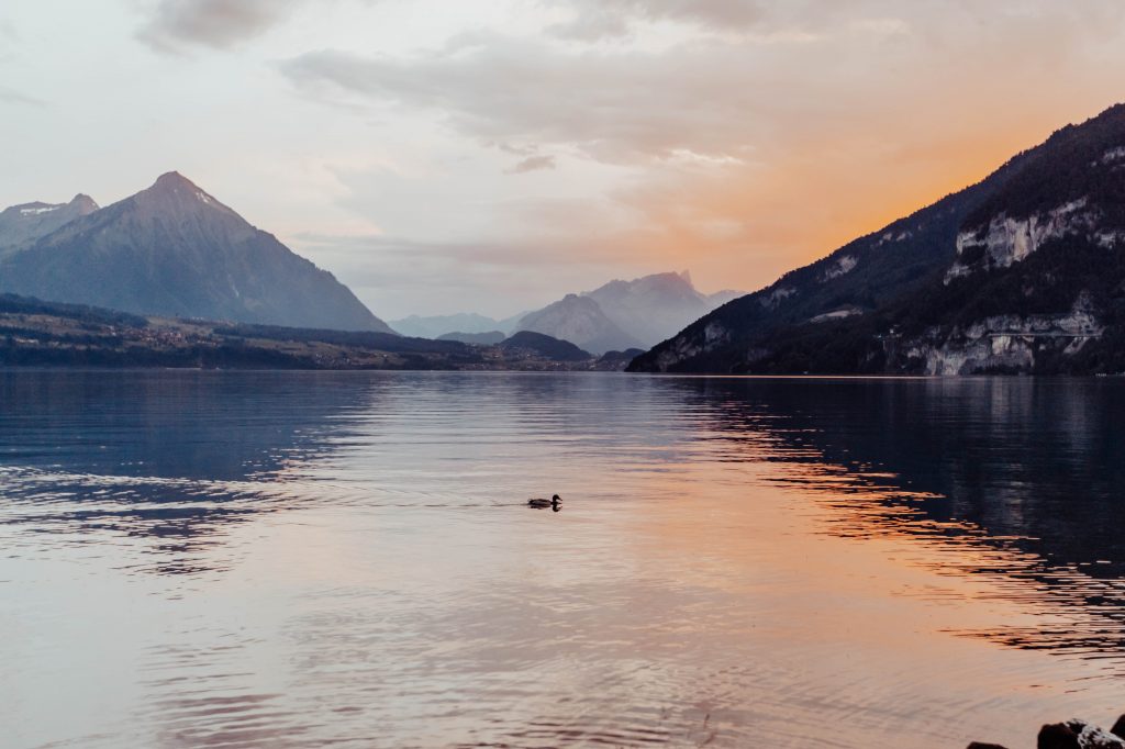 sonnenuntergang thunersee