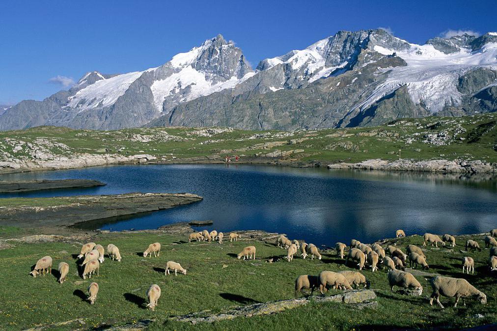ecrins parc national